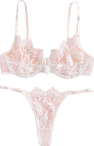 Embroidery Floral Mesh Sheer Underwire Lingerie Bra and Panty Set