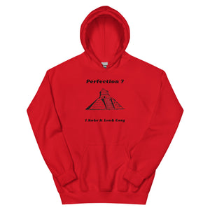 Perfection Hoodie