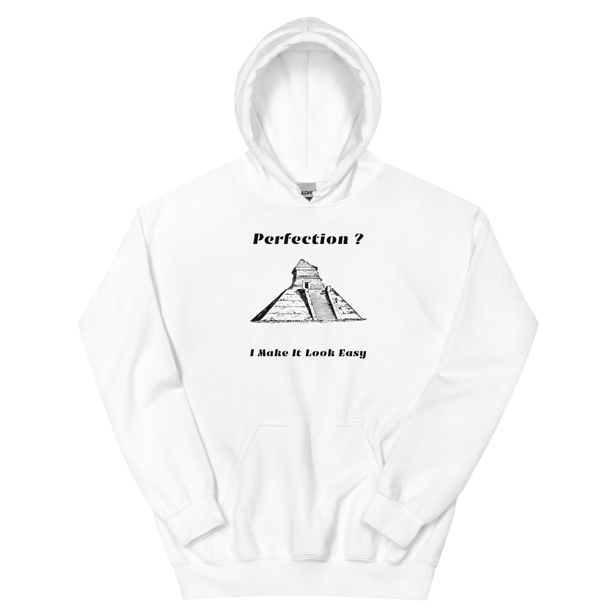 Perfection Hoodie