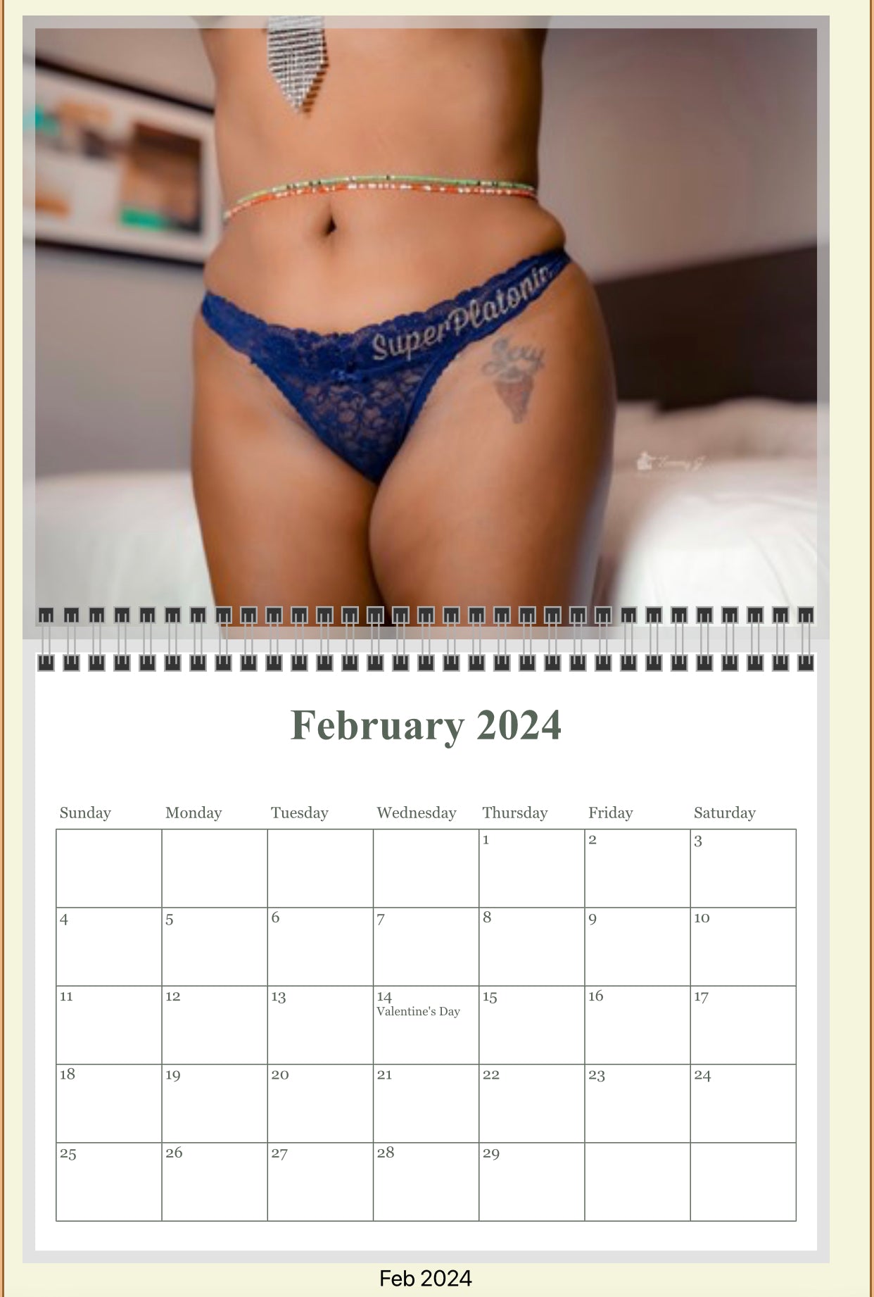 2023-24 Lingerie/Swimsuit Wall Calendar (18 Months)